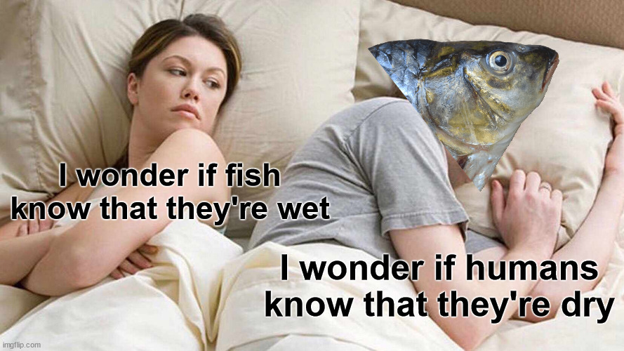 fish meme